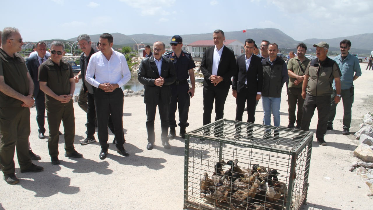 Beyşehir Gölü’ne 70 yaban ördeği bırakıldı