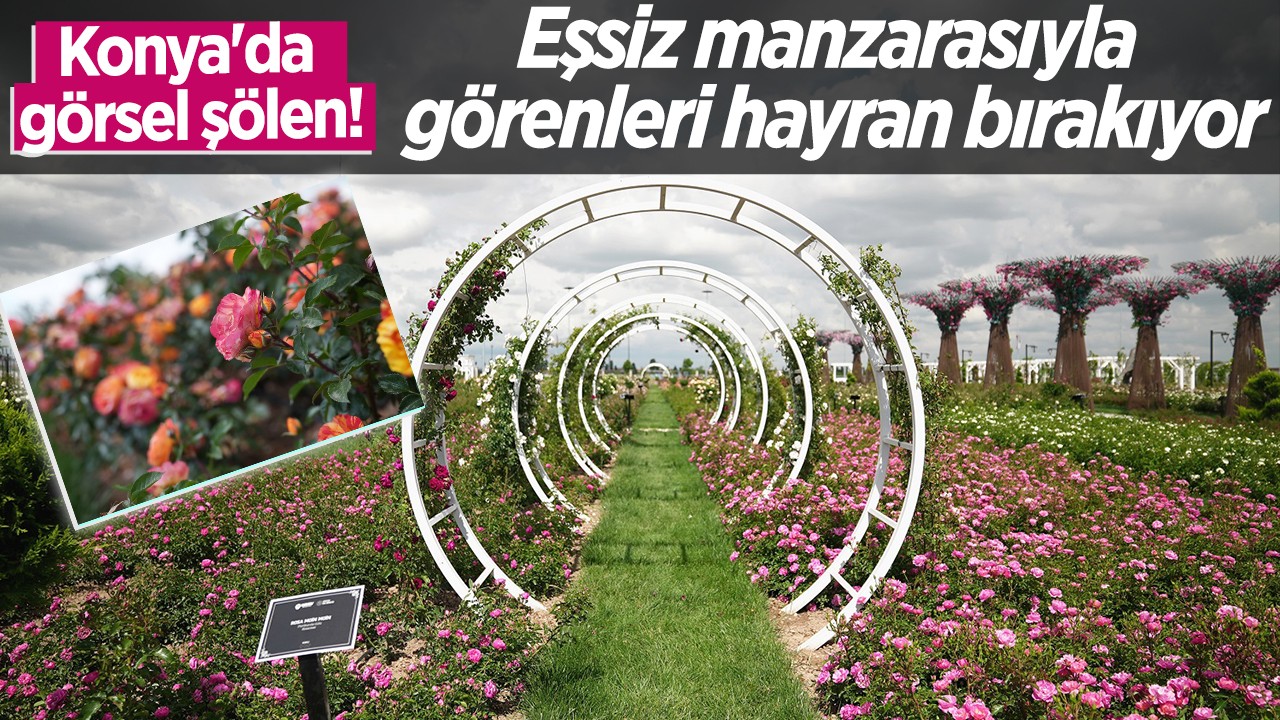 Konya’da görsel şölen! Eşsiz manzarasıyla görenleri hayran bırakıyor