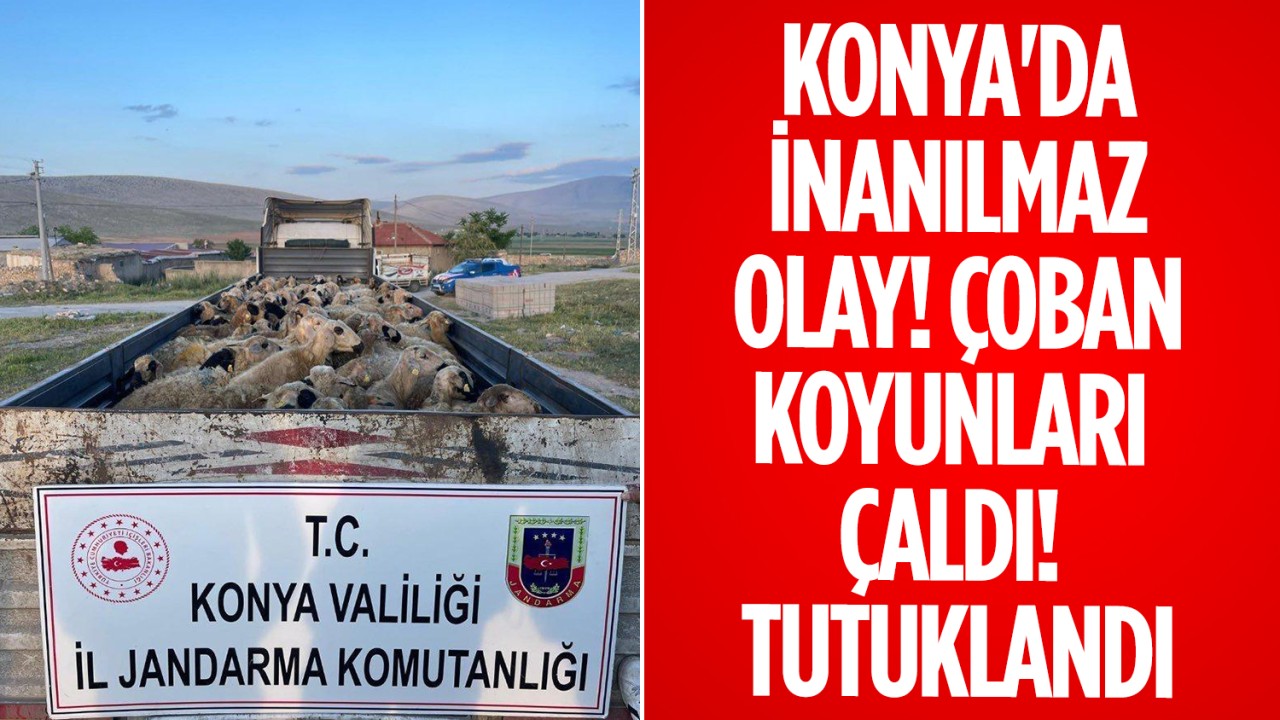 Konya’da inanılmaz olay! Çoban koyunları çaldı