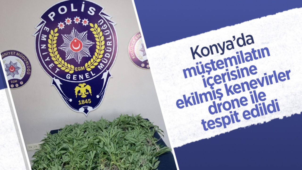 Konya'da müştemilatın içerisine ekilmiş kenevirler drone ile tespit edildi