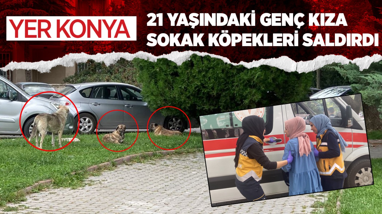 Konya'da evine gitmek isteyen genç kıza sokak köpekleri saldırdı