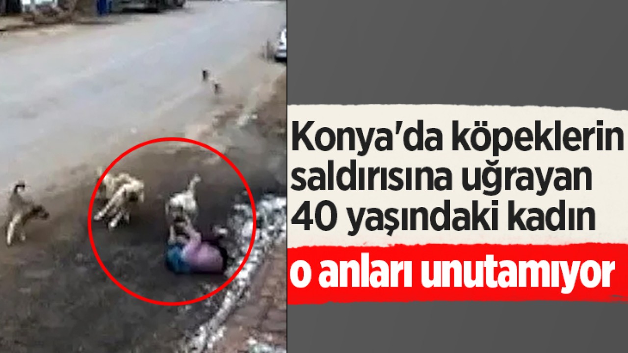 Konya’da köpeklerin saldırısına uğrayan 40 yaşındaki kadın o anları unutamıyor