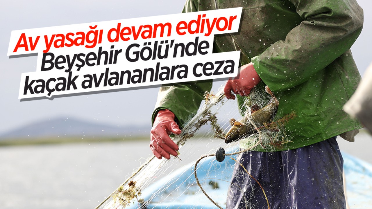Av yasağı devam ediyor: Beyşehir Gölü'nde kaçak avlananlara ceza