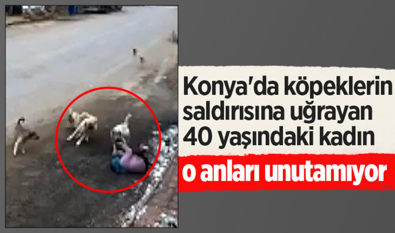 Konya'da köpeklerin saldırısına uğrayan 40 yaşındaki kadın o anları unutamıyor