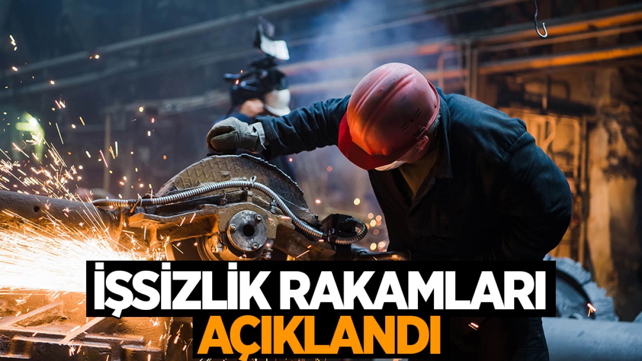 İşsizlik rakamları açıklandı