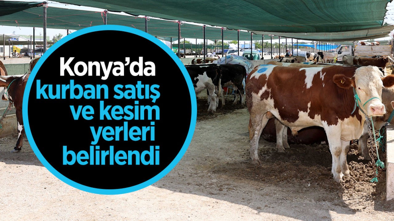 Konya’da kurban satış ve kesim yerleri belirlendi