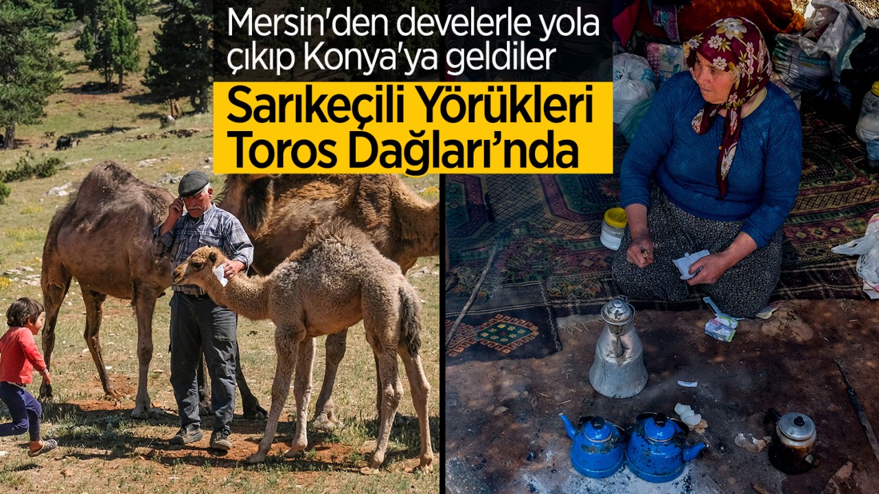 Mersin'den develerle yola çıkıp Konya'ya geldiler: Sarıkeçili Yörükleri, Toros Dağları’nda