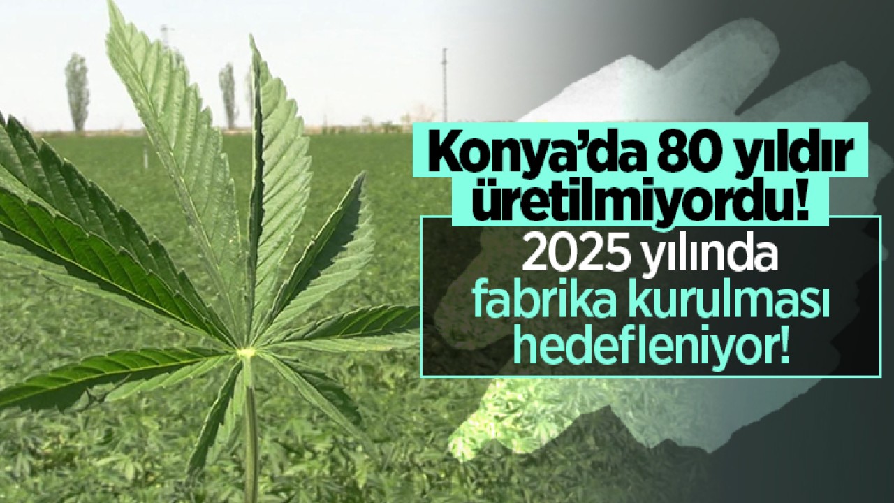 Konya’da 80 yıldır üretilmiyordu: 2025 yılında fabrika kurulması hedefleniyor!
