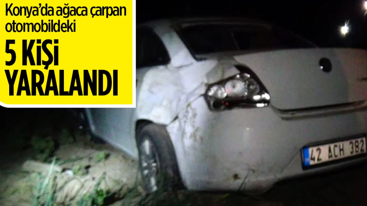 Konya'da ağaca çarpan otomobildeki 5 kişi yaralandı