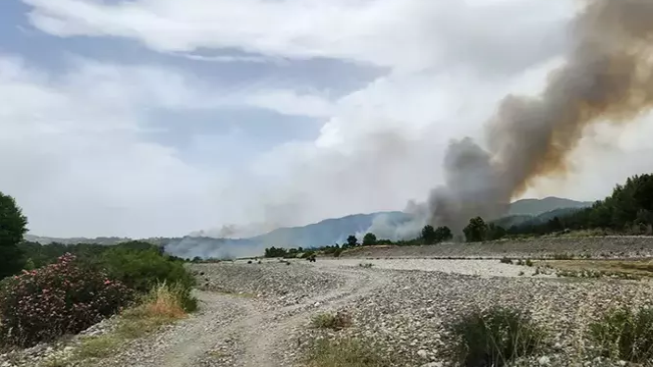 Muğla'nın Milas ilçesinde orman yangını çıktı: Çevre köyler tahliye ediliyor!