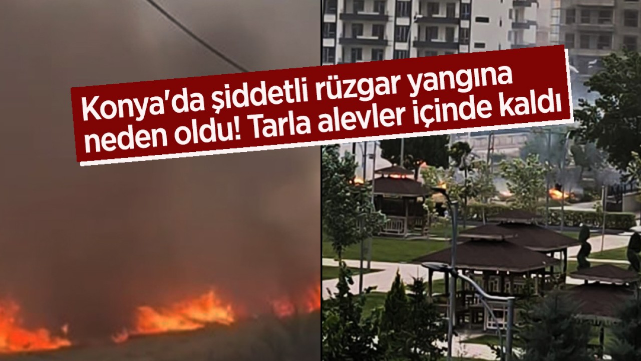 Konya'da şiddetli rüzgar yangına neden oldu! Tarla alevler içinde kaldı