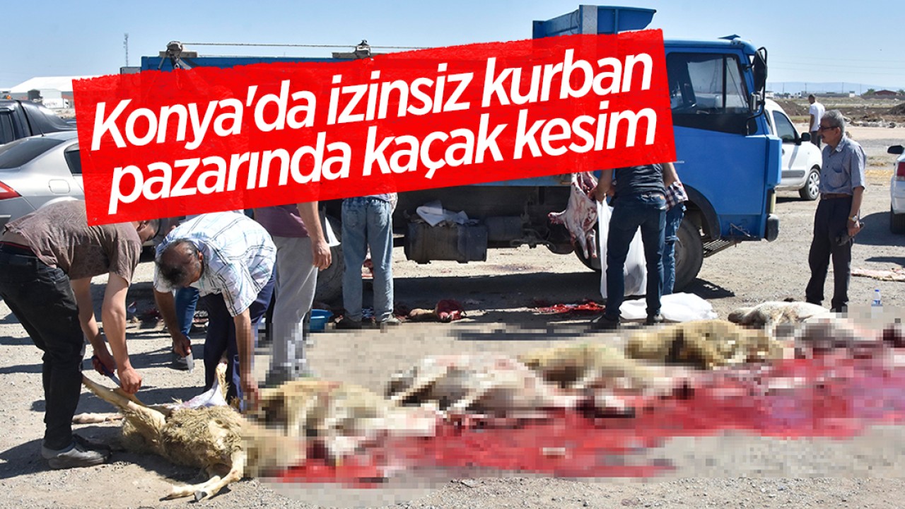 Konya’da izinsiz kurban pazarında kaçak kesim