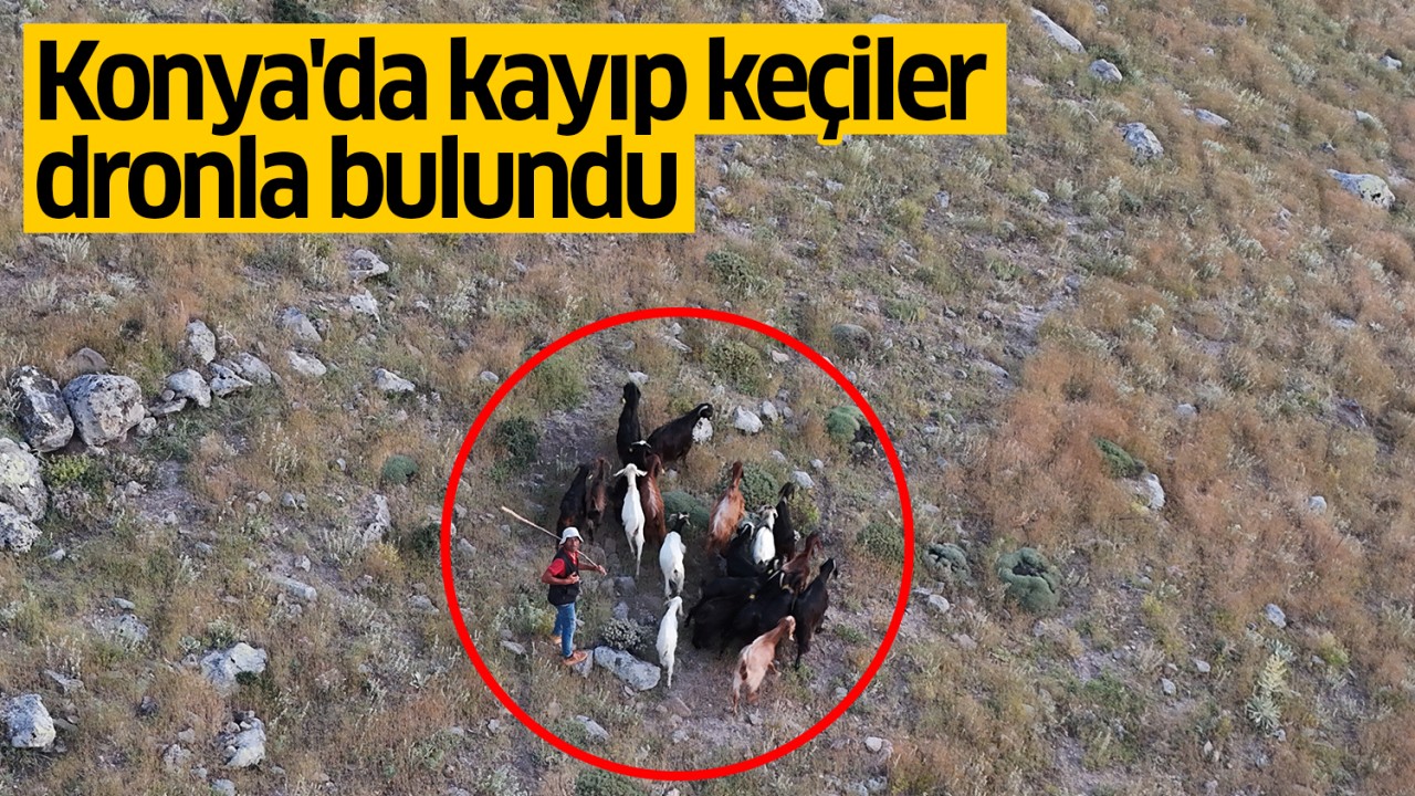 Konya’da kayıp keçiler dronla bulundu