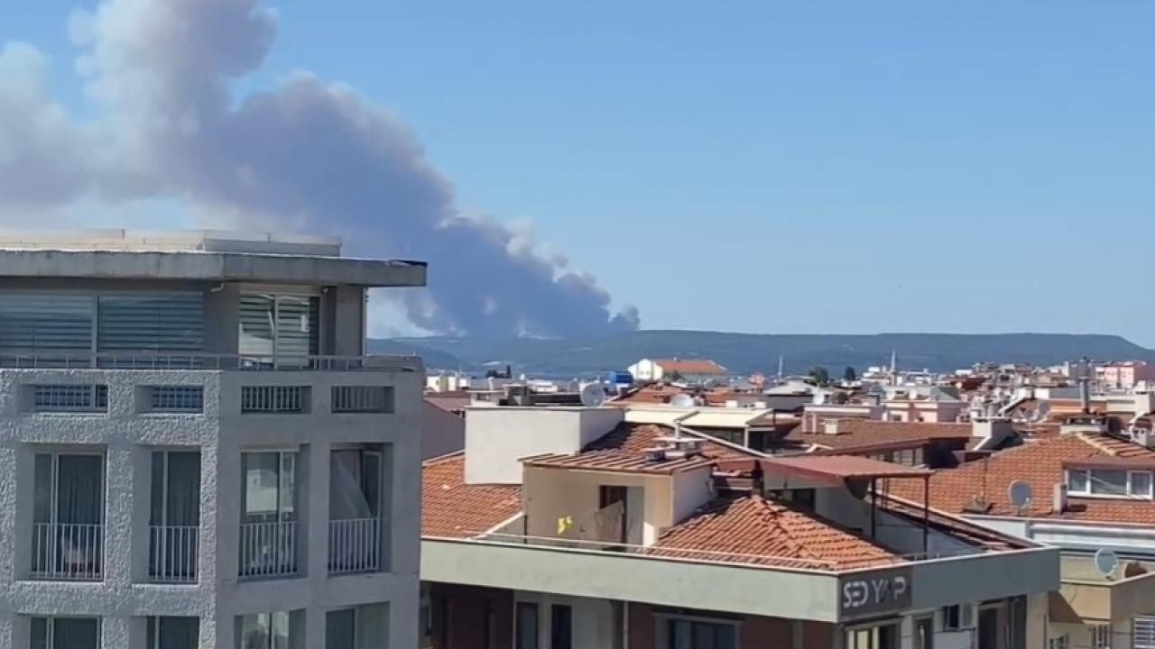 Çanakkale'de orman yangını: Boğaz'da gemi trafiği tek yönlü askıya alındı