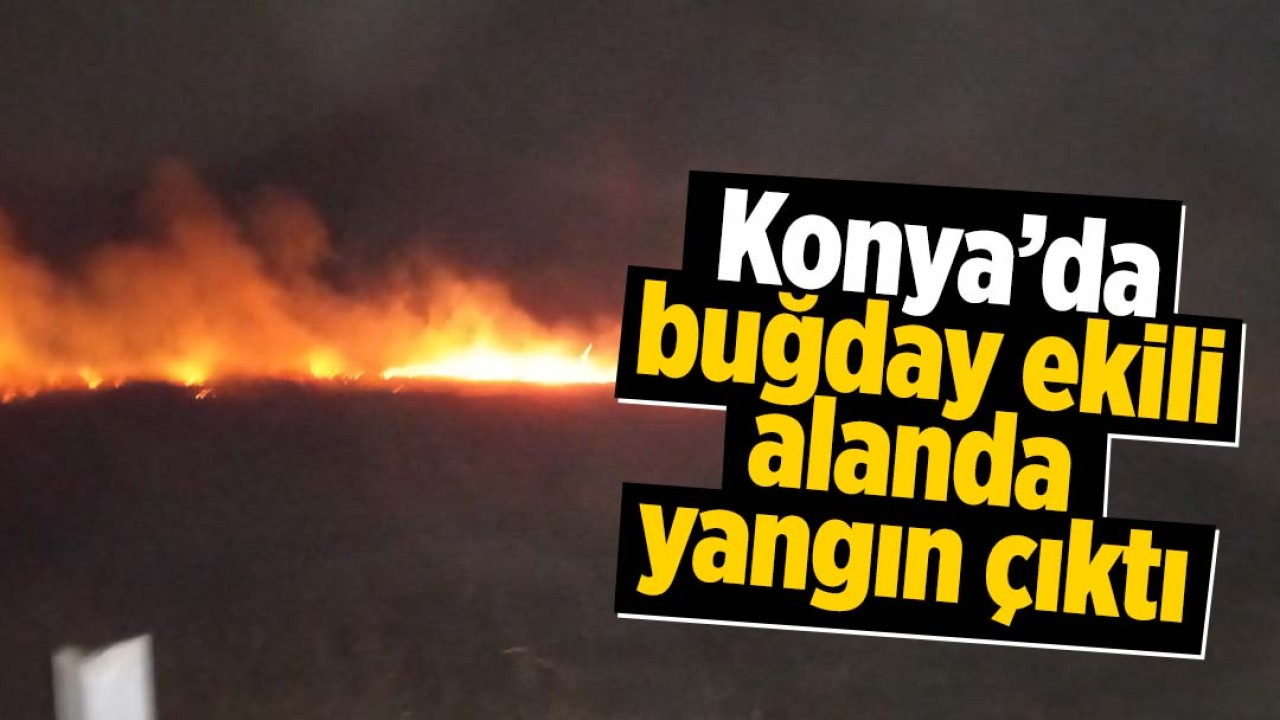 Konya’da buğday ekili alanda yangın çıktı