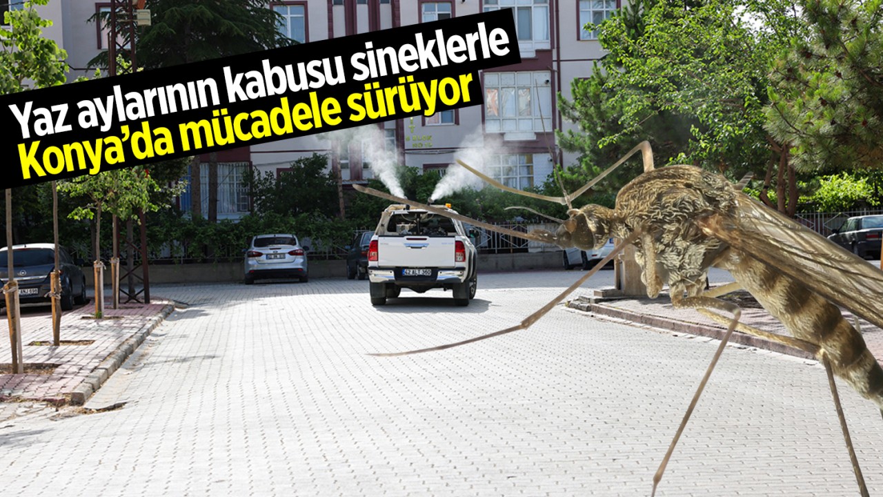 Yaz aylarının kabusu sineklerle Konya'da mücadele sürüyor