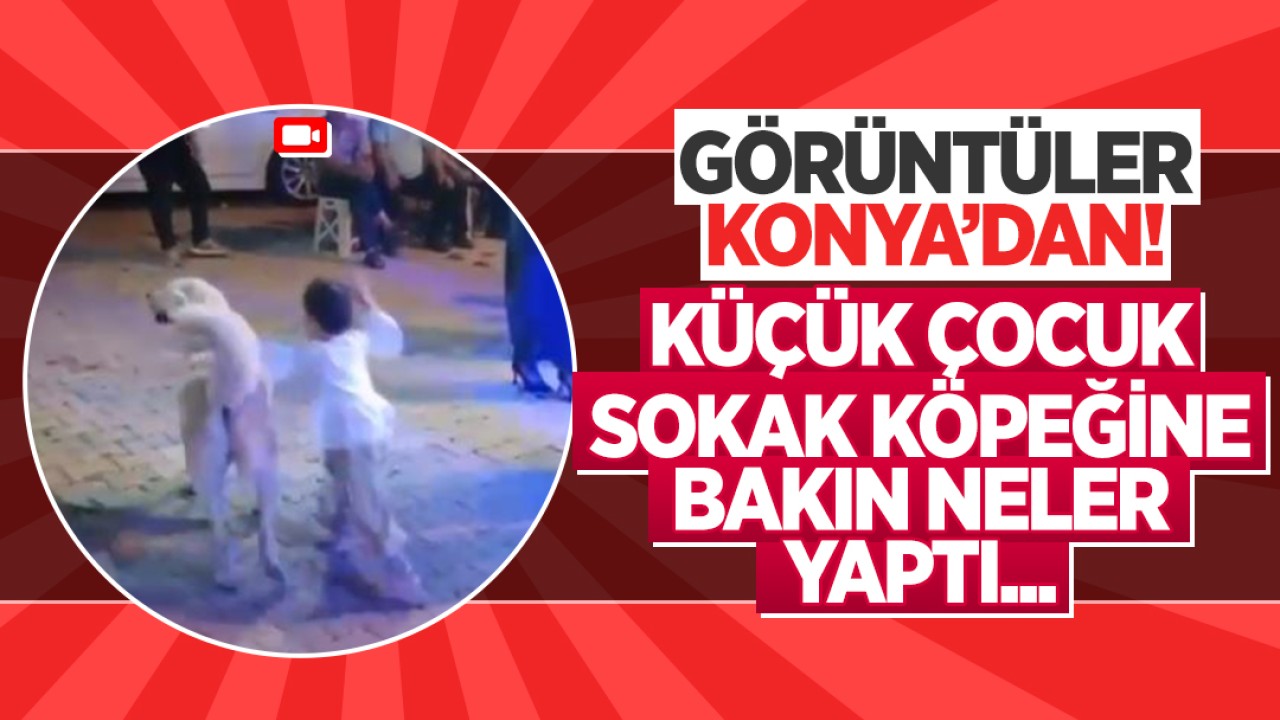 Görüntüler Konya'dan! Küçük çocuk sokak köpeğine bakın neler yaptı