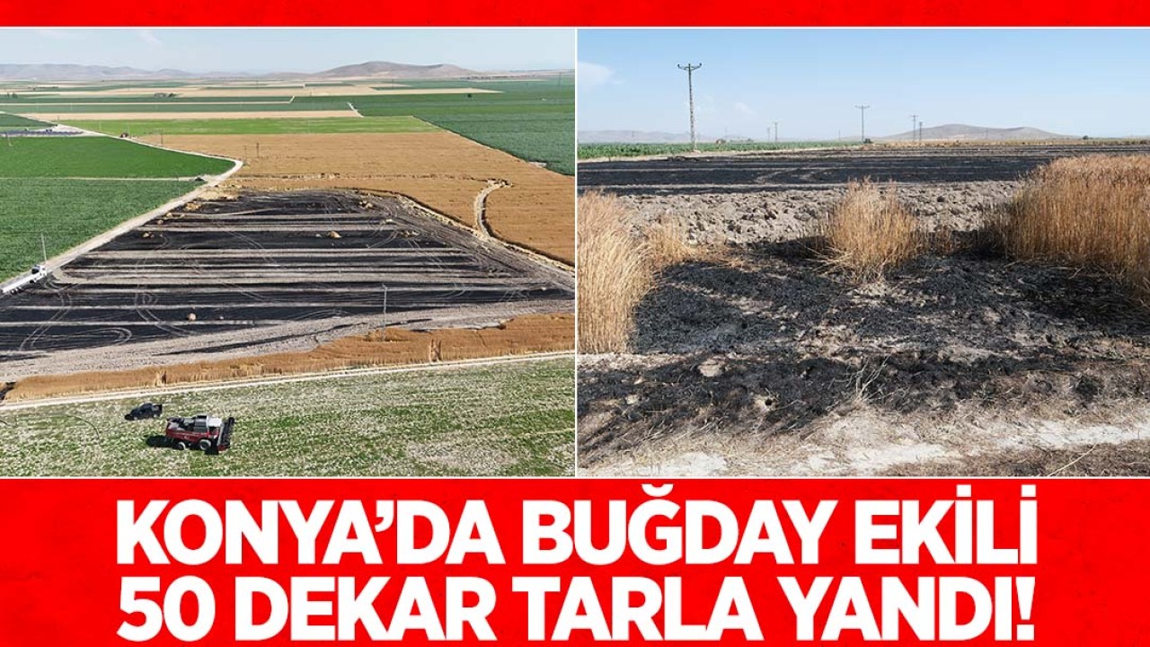 Konya'da buğday ekili 50 dekar tarla yandı