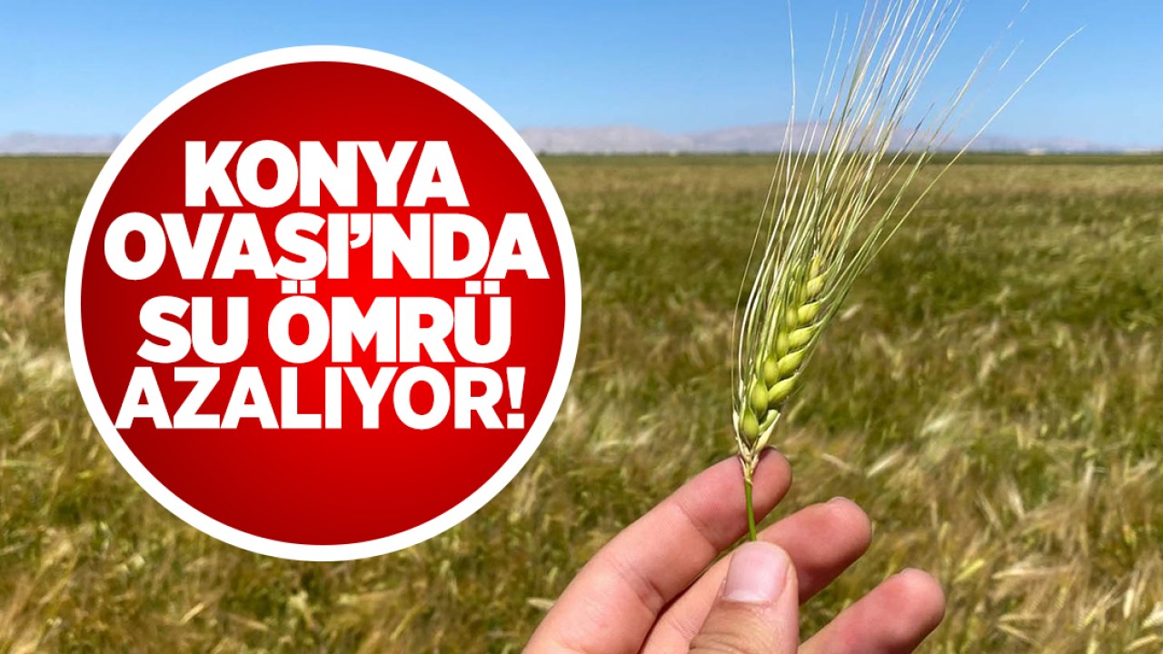 Konya Ovası'nda su ömrü azalıyor!