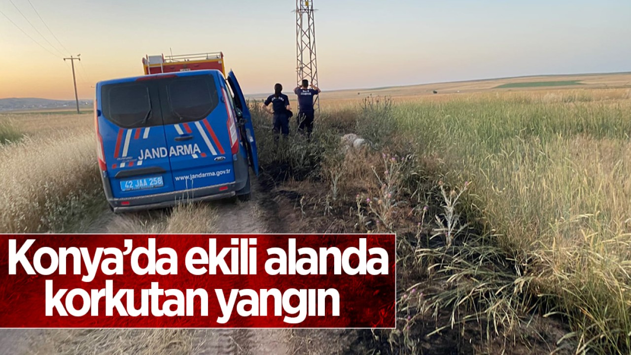 Konya’da ekili alanda korkutan yangın