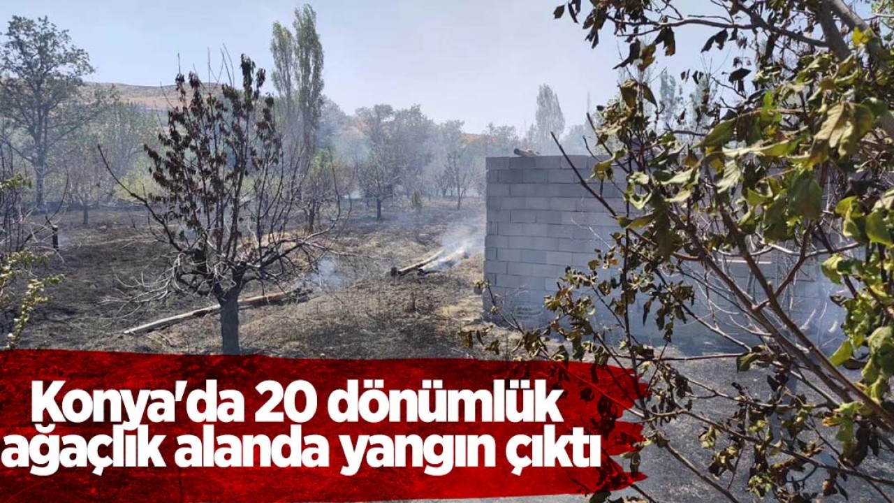 Konya’da 20 dönümlük ağaçlık alanda yangın çıktı