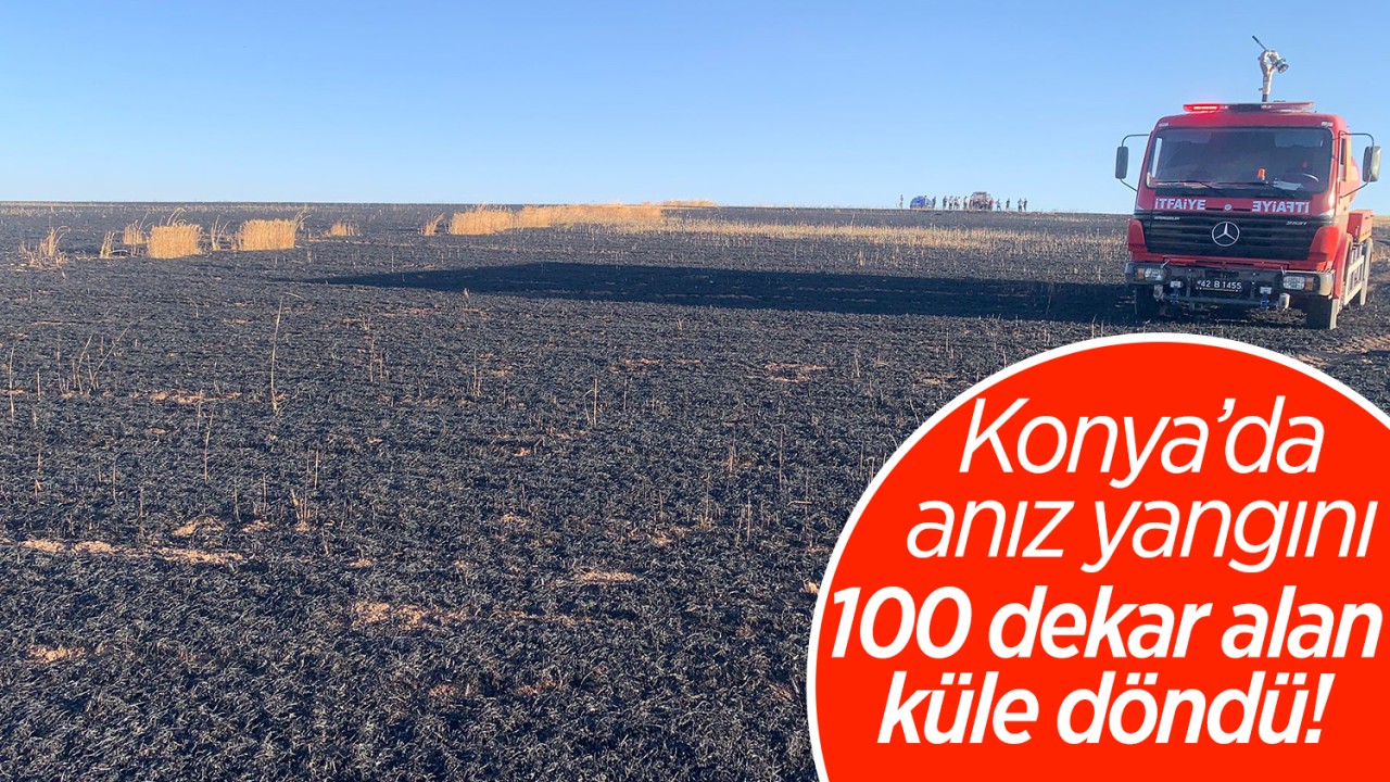 Konya'da anız yangını: 100 dekar alan küle döndü!