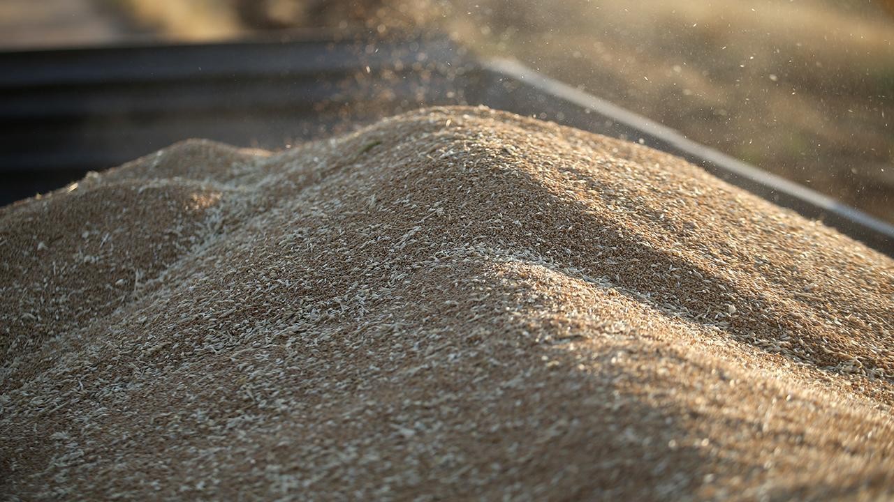 TMO, üreticilerden 1 milyon tonun üzerinde buğday ve arpa aldı