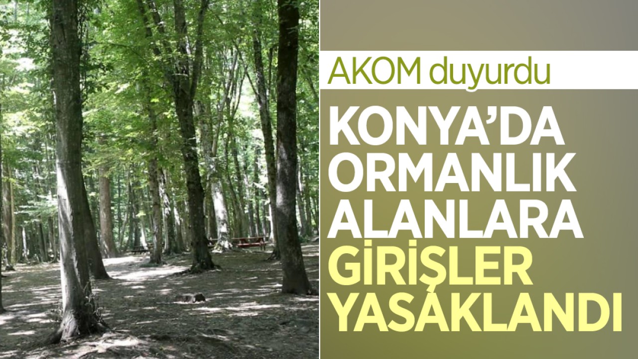 Konya’da ormanlık alanlara girişler yasaklandı
