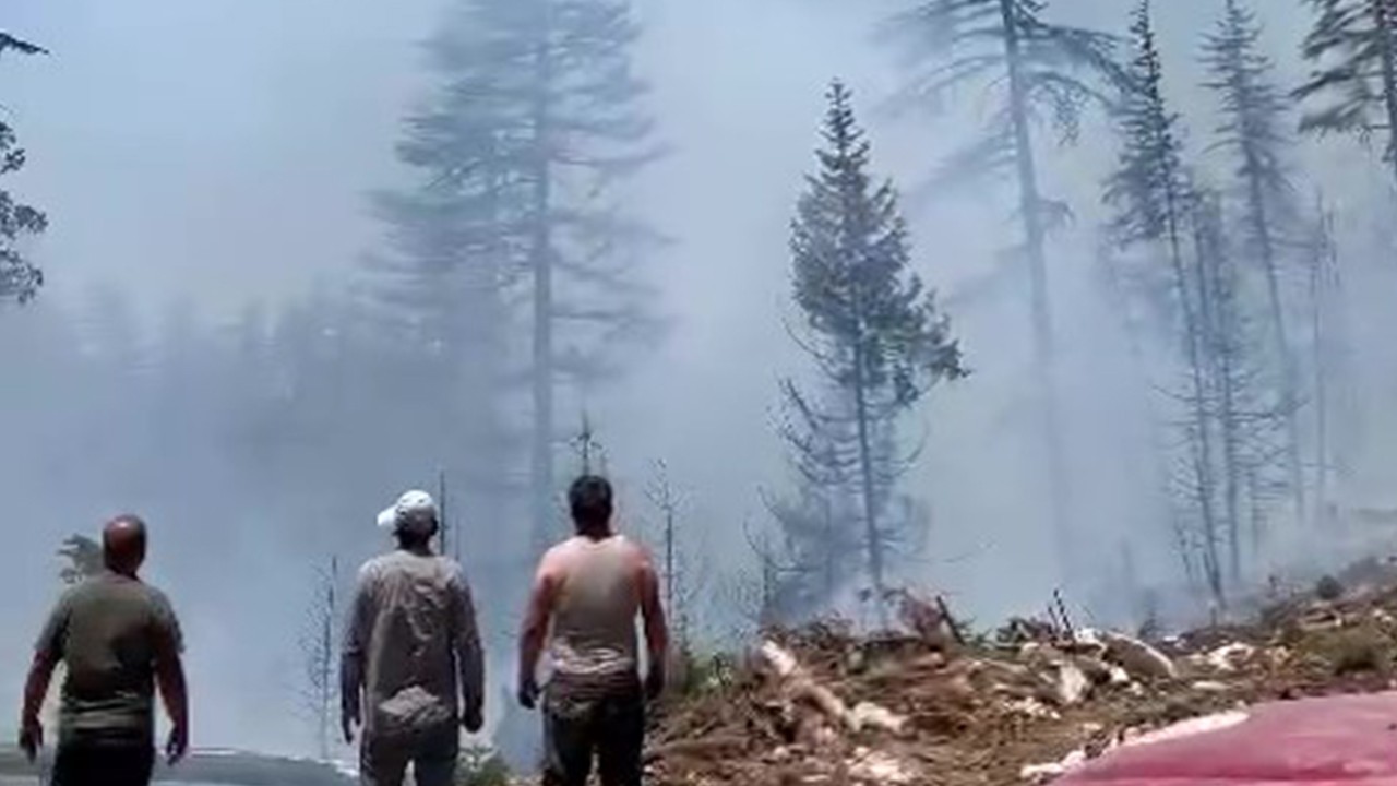 Karaman Ermenek’te orman yangını