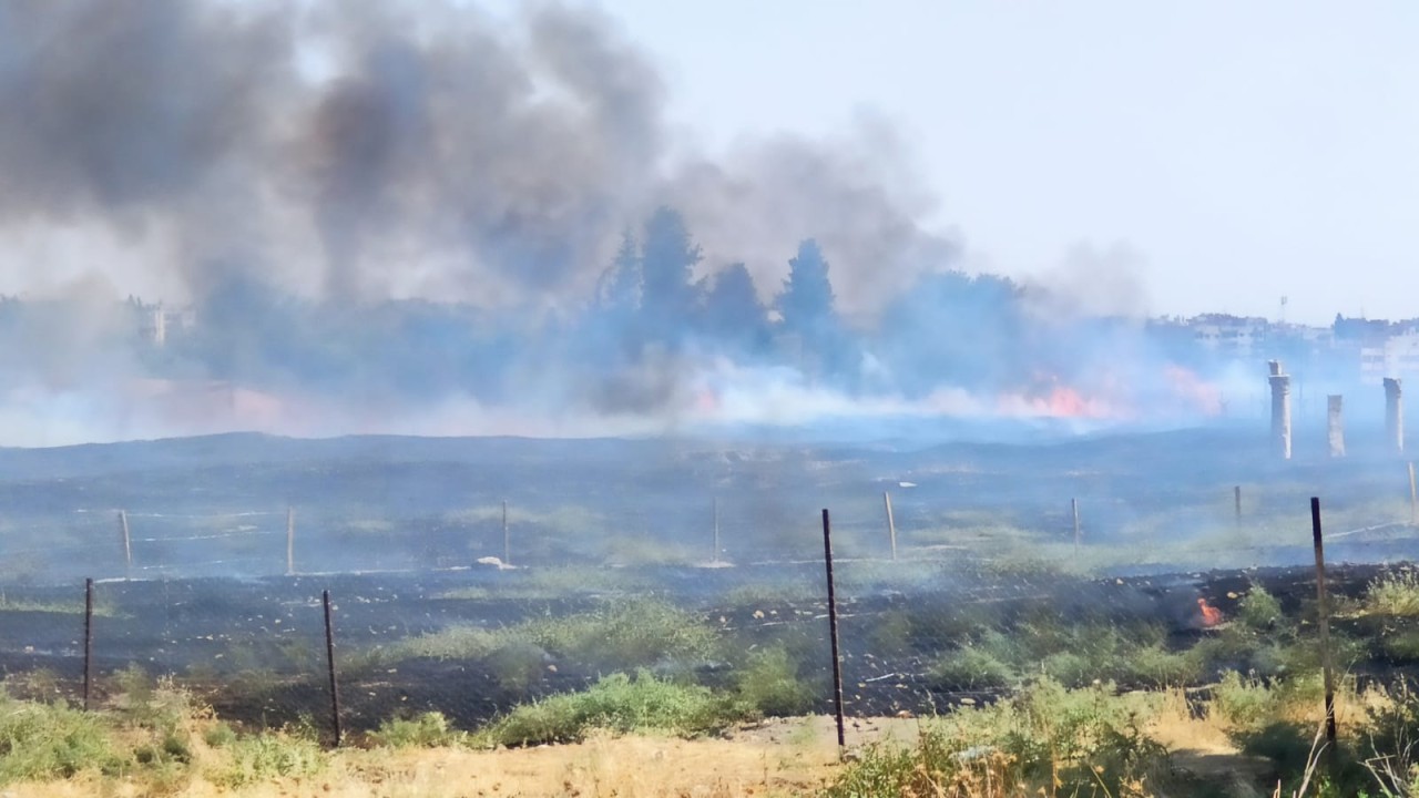 Suriye sınırında mayınlı bölgede çıkan ot yangını söndürüldü