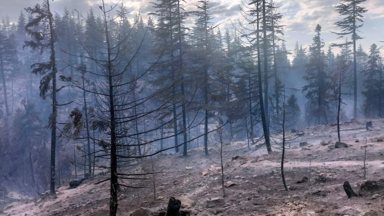 Karaman’daki orman yangını kontrol altına alınd