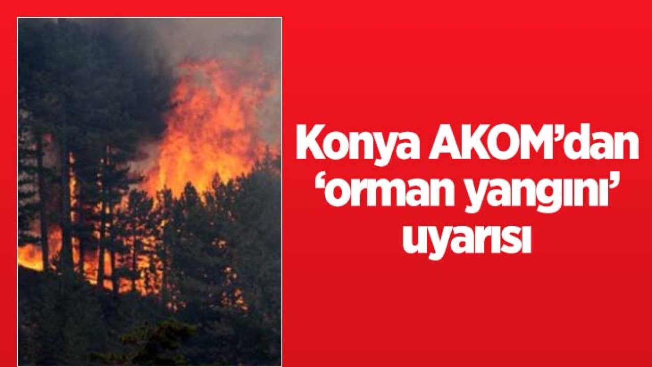 Konya AKOM’dan ’orman yangını’ uyarısı