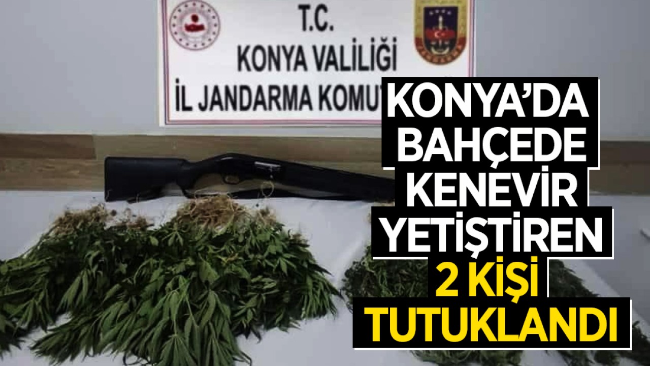 Konya’da bahçede kenevir yetiştiren 2 kişi tutuklandı
