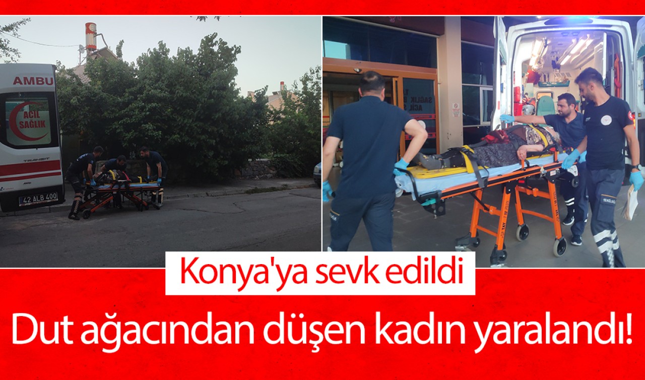 Dut ağacından düşen kadın yaralandı! Konya'ya sevk edildi
