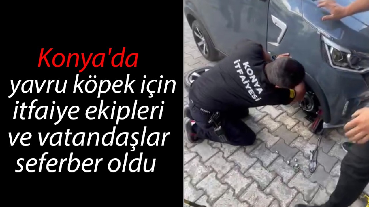 Konya’da  yavru köpek için itfaiye ekipleri ve vatandaşlar seferber oldu