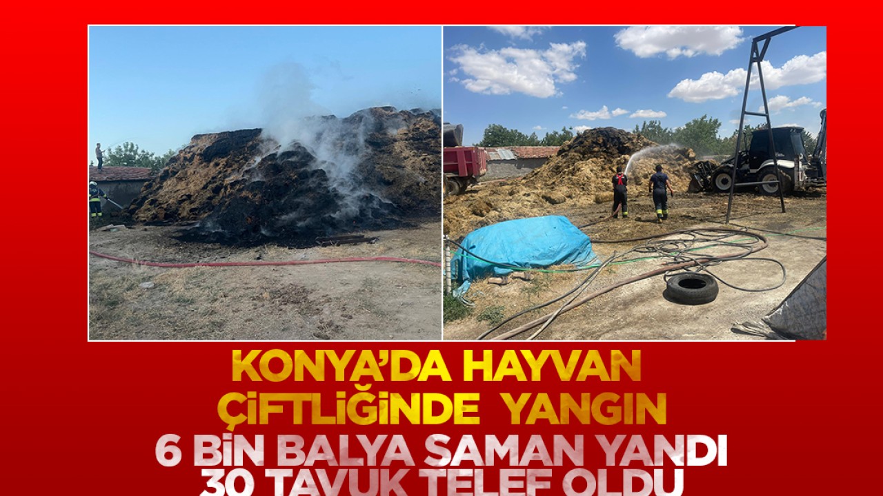 Konya'da hayvan çiftliğinde yangın: 6 bin balya saman ve 4 ton yem yandı, 30 tavuk telef oldu