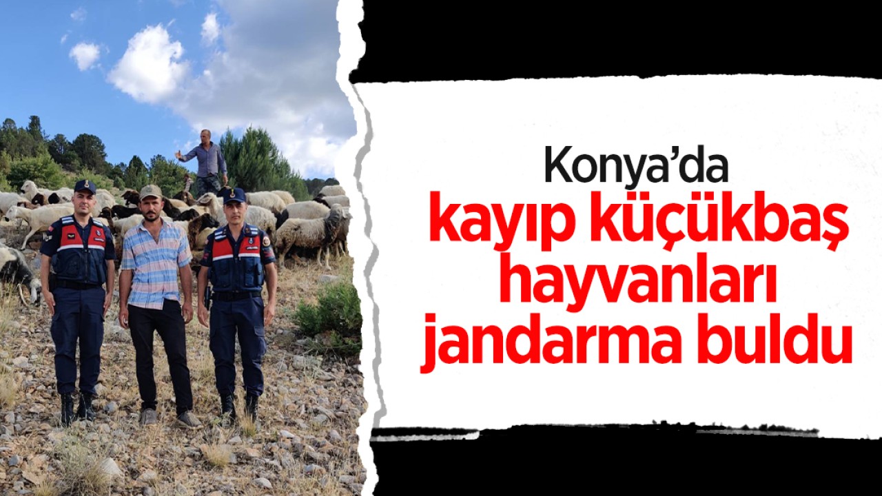 Konya'da kayıp küçükbaş hayvanları Jandarma buldu