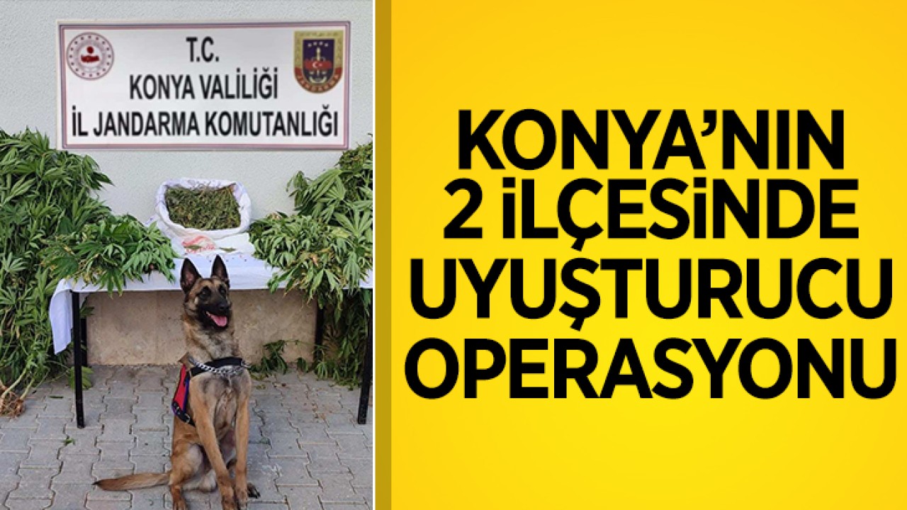 Konya'nın 2 ilçesinde uyuşturucu operasyonu