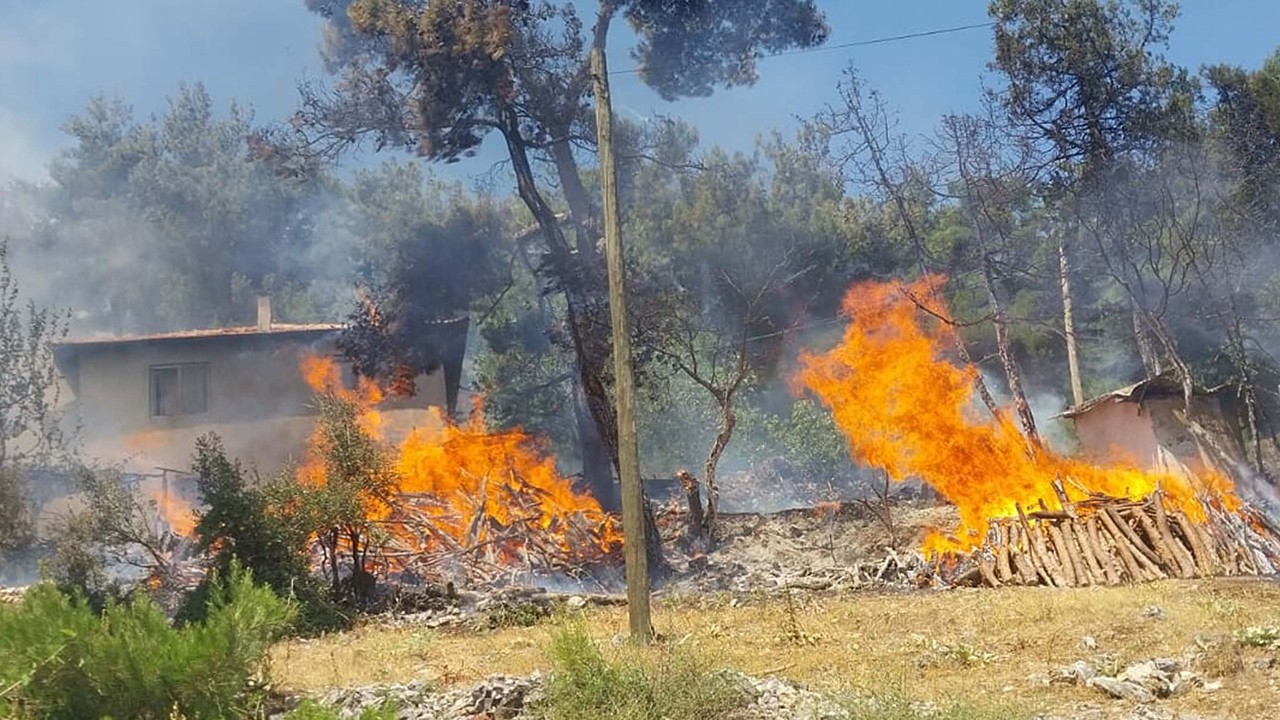 Balıkesir’de orman yangını