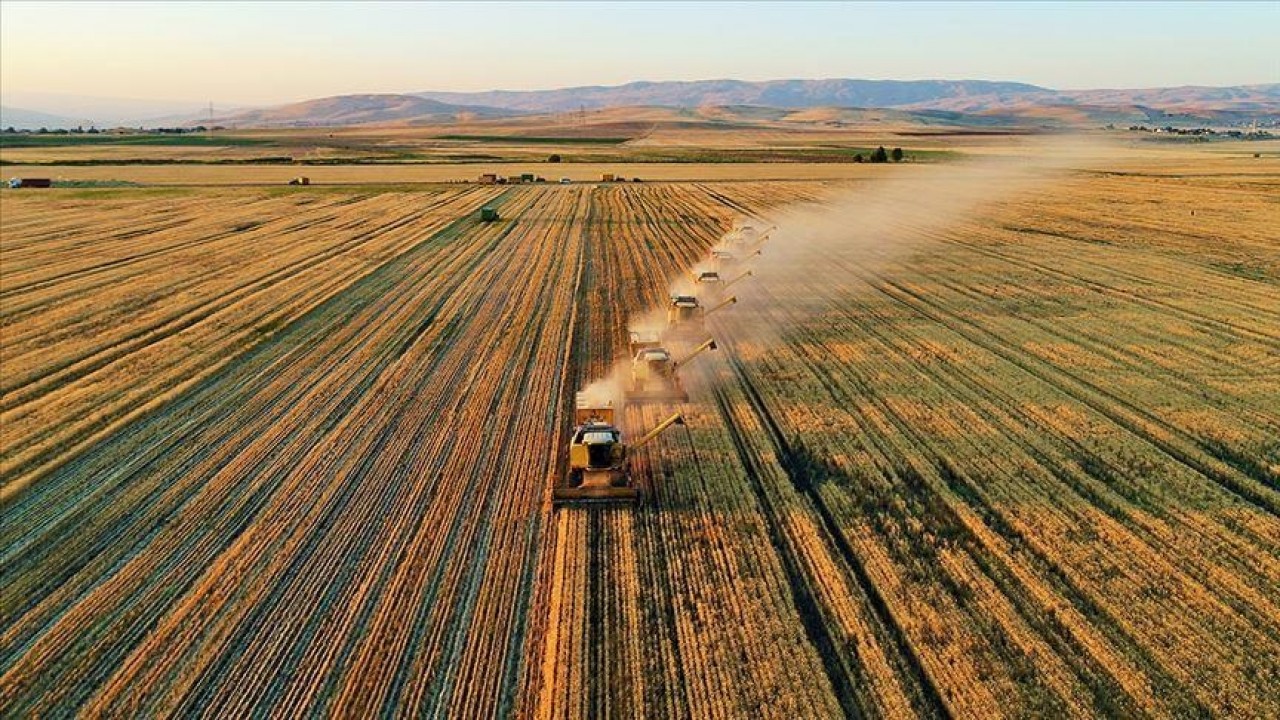 119 milyon TL tarımsal destekleme ödemesi çiftçilerin hesabına yatırıldı