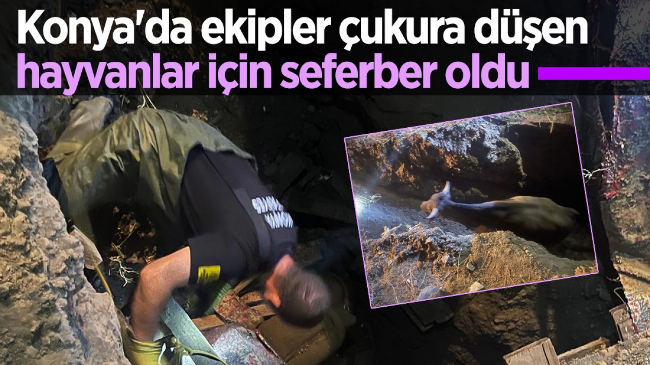 Konya’da ekipler çukura düşen hayvanlar için seferber oldu