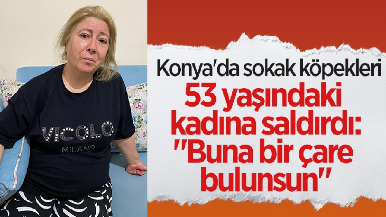 Konya'da sokak köpekleri 53 yaşındaki kadına saldırdı: 
