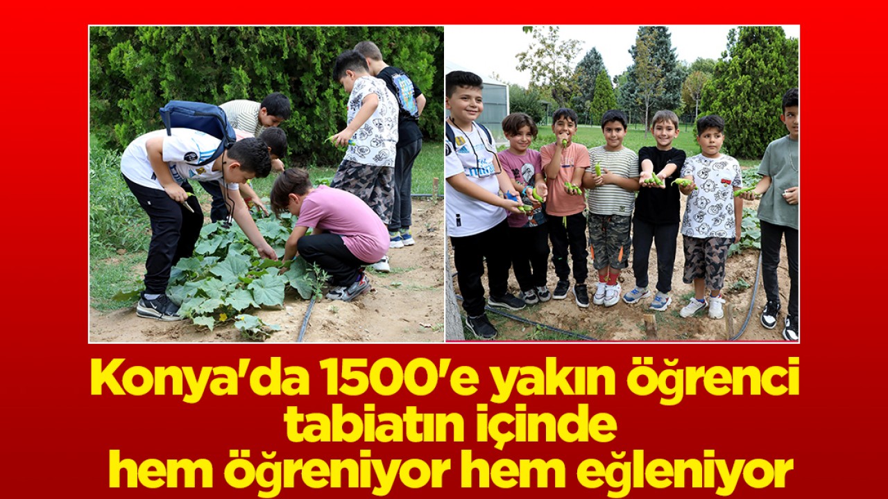 Konya’da 1500’e yakın öğrenci tabiatın içinde hem öğreniyor hem eğleniyor