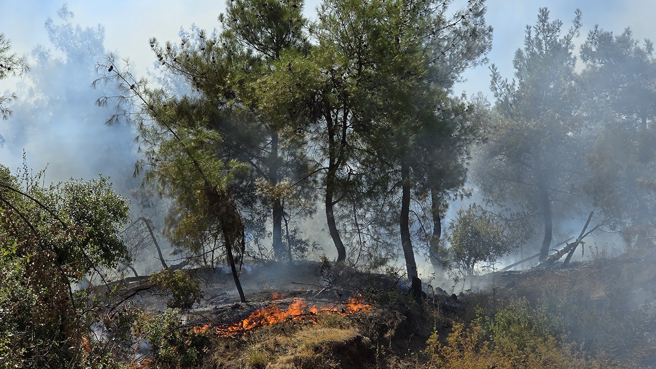 Hatay’da orman yangını