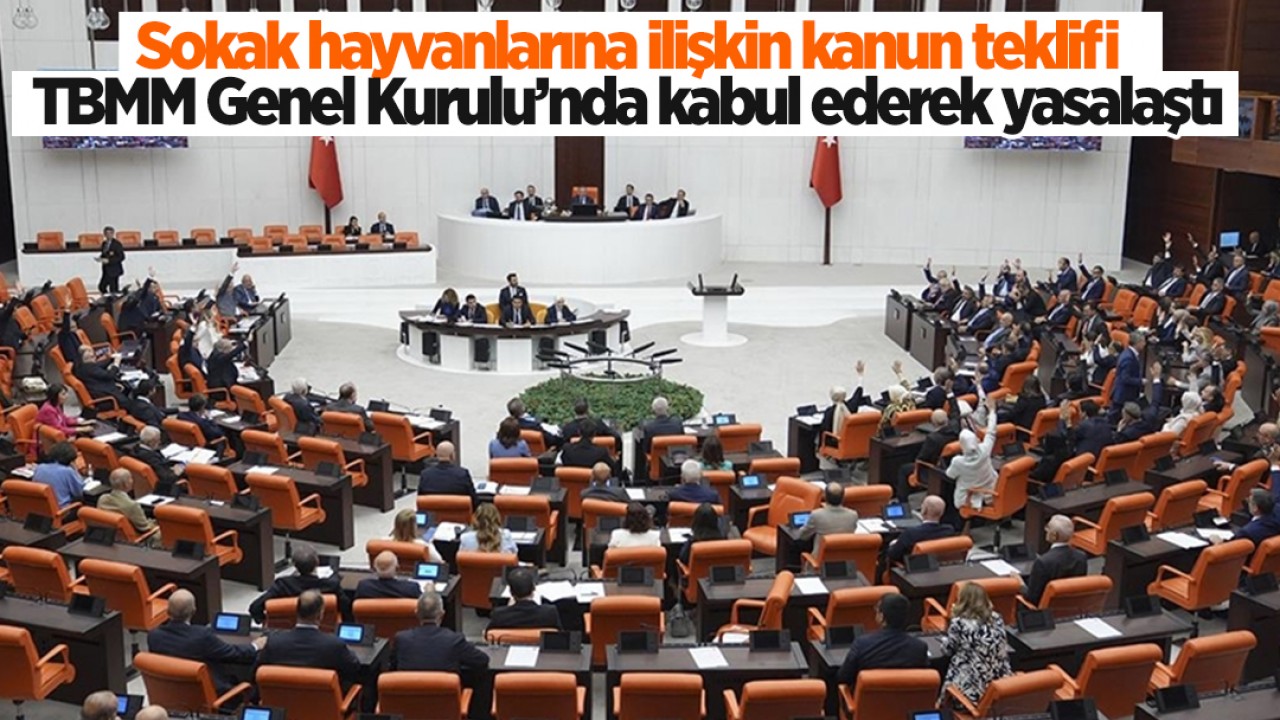 Sokak hayvanlarına ilişkin kanun teklifi TBMM Genel Kurulu'nda kabul edilerek yasalaştı