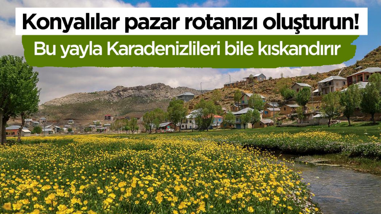 Konyalılar pazar rotanızı oluşturun! Bu yayla Karadenizlileri bile kıskandırır