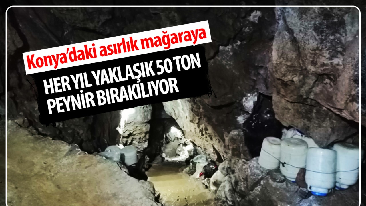 Konya’daki asırlık mağaraya her yıl yaklaşık 50 ton peynir bırakılıyor