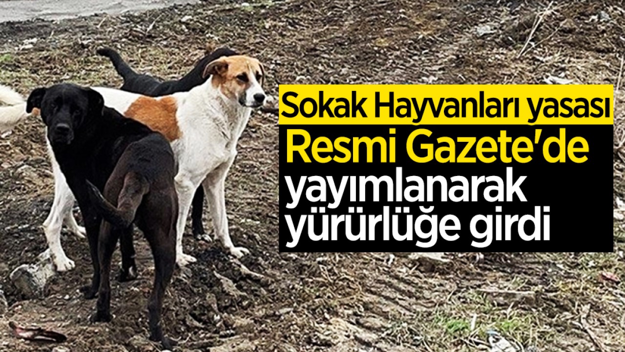 Sokak Hayvanları yasası Resmi Gazete’de yayımlanarak yürürlüğe girdi