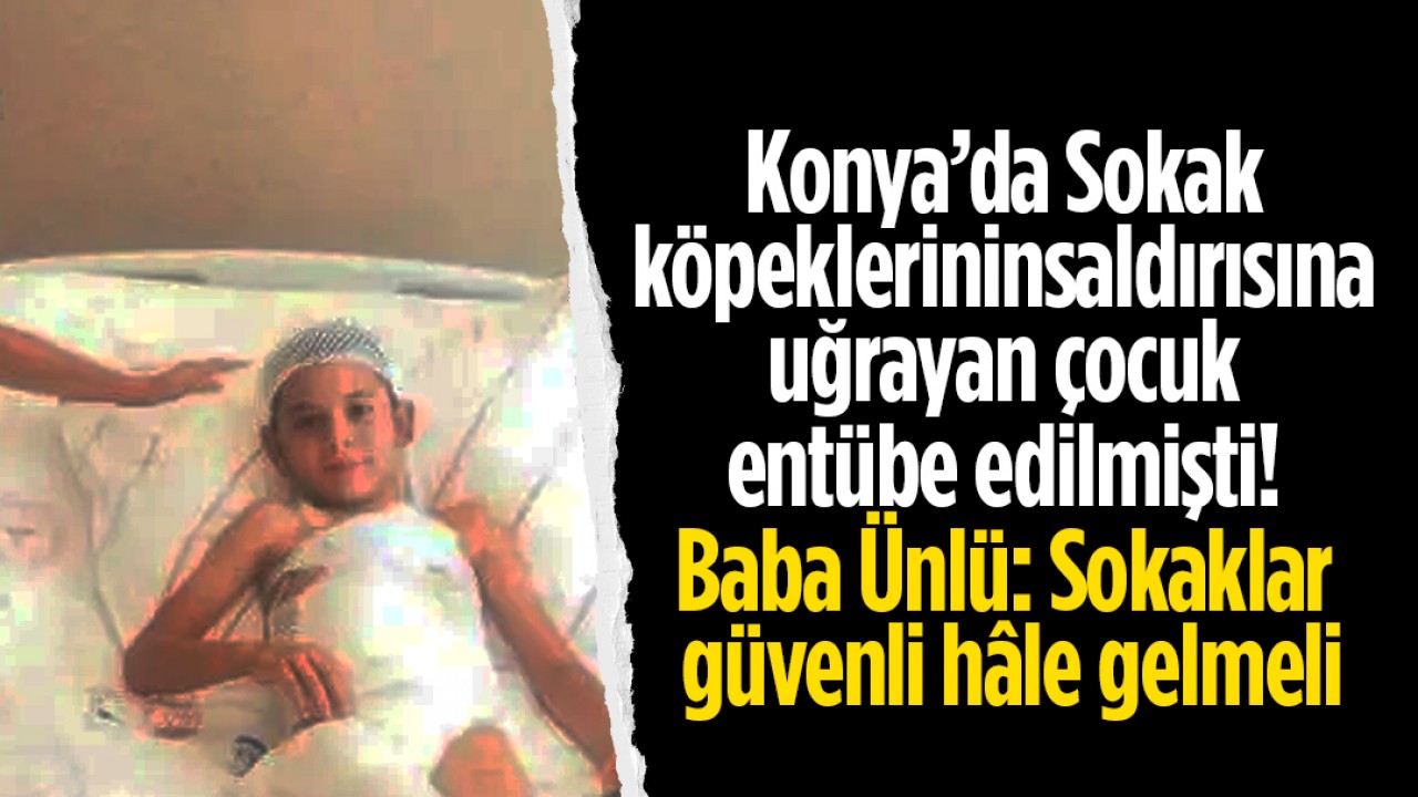 Konya'da sokak köpeklerinin saldırısına uğrayan çocuk entübe edilmişti! Baba Ünlü: Sokaklar güvenli hâle gelmeli