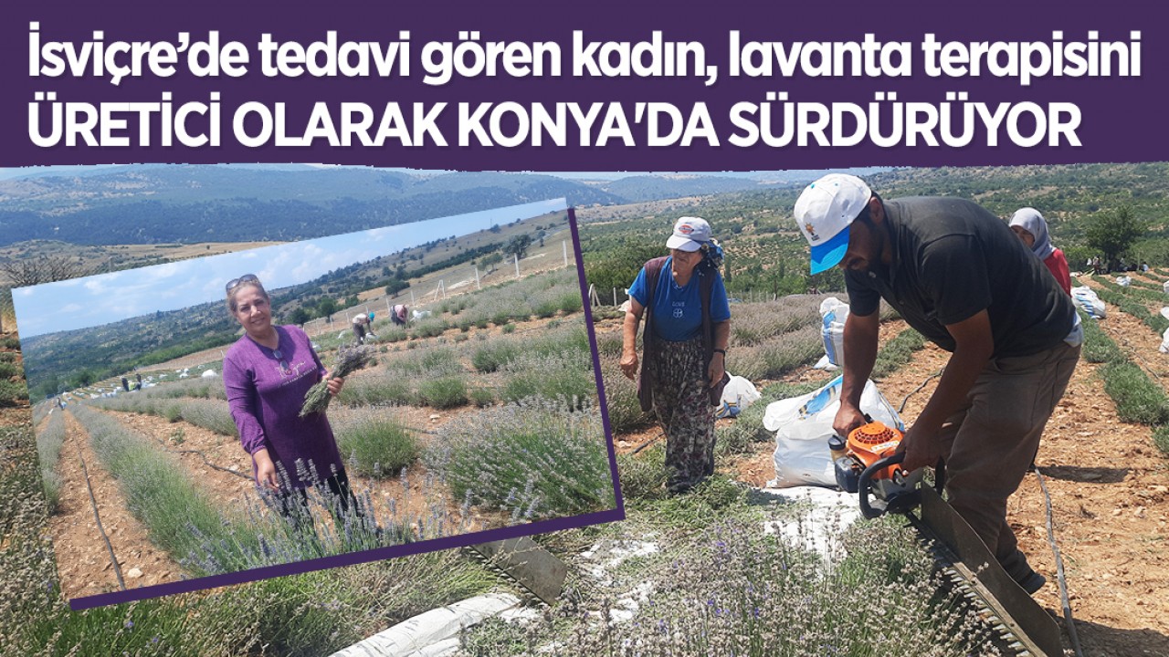 İsviçre'de tedavi gören kadın, lavanta terapisini üretici olarak Konya'da sürdürüyor